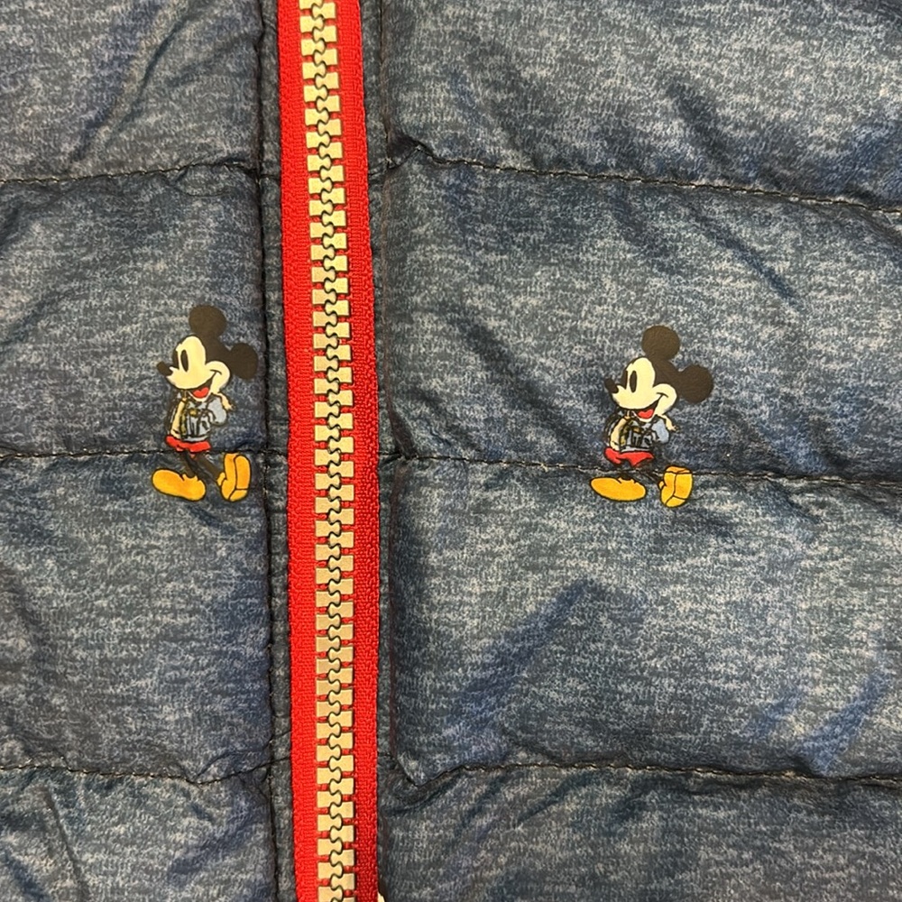 Mickey Coat - Picture 2 of 4